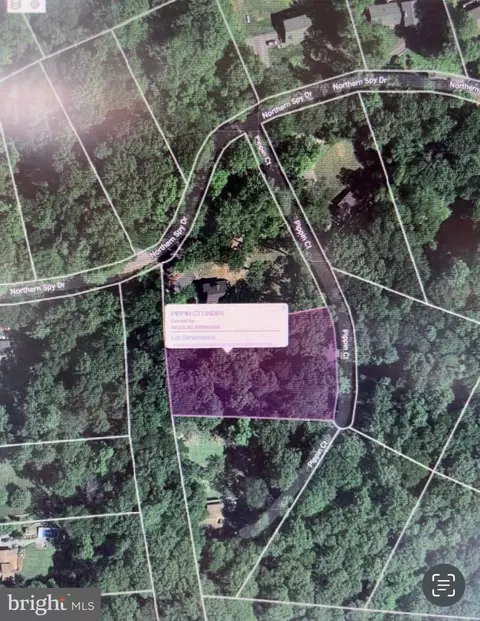 Pippin Court, Linden, VA 22642