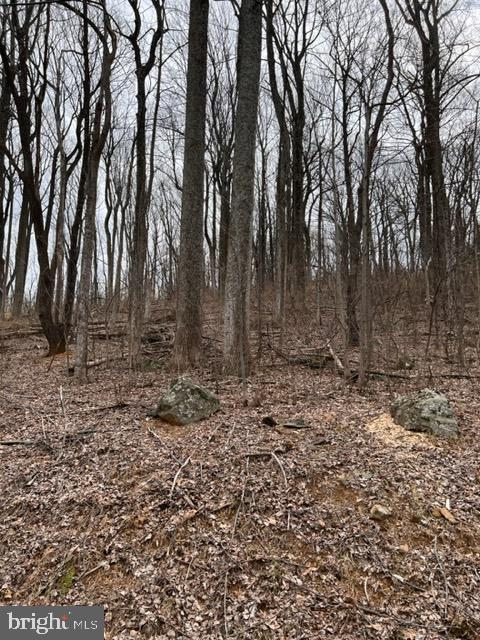 Briar Lane Lot 449, Front Royal, VA 22630