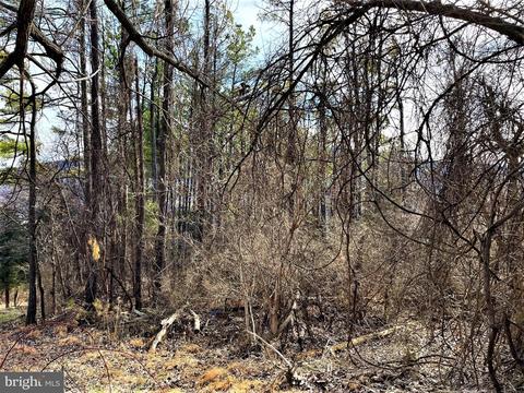 Rambo Court, Linden, VA 22642