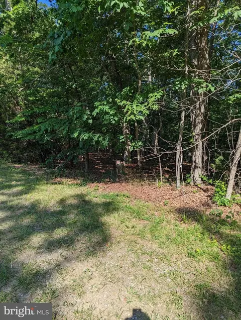 Ash Road, Front Royal, VA 22630
