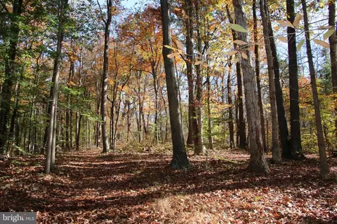 Tree Farm Lane, Bentonville, VA 22610