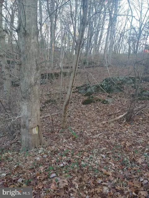 Pin Oak Road, Front Royal, VA 22630
