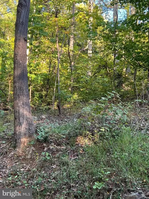 Briar Lane, Front Royal, VA 22630