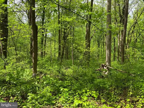 Old Sawmill Road, Front Royal, VA 22630