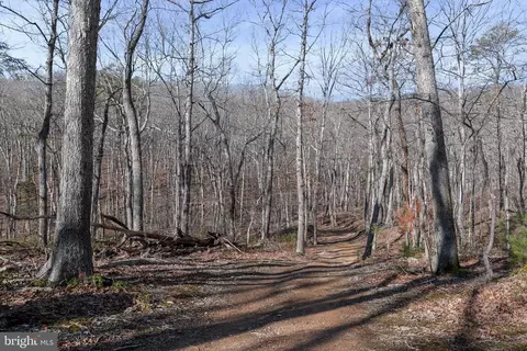 View/Area - 4411 Panhandle Rd, Front Royal, VA 22630 photo 3 of 12