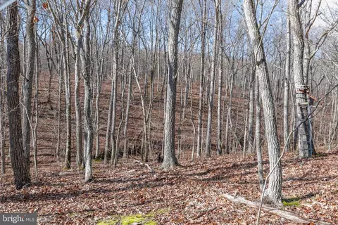 View/Area - 4411 Panhandle Rd, Front Royal, VA 22630 photo 4 of 12