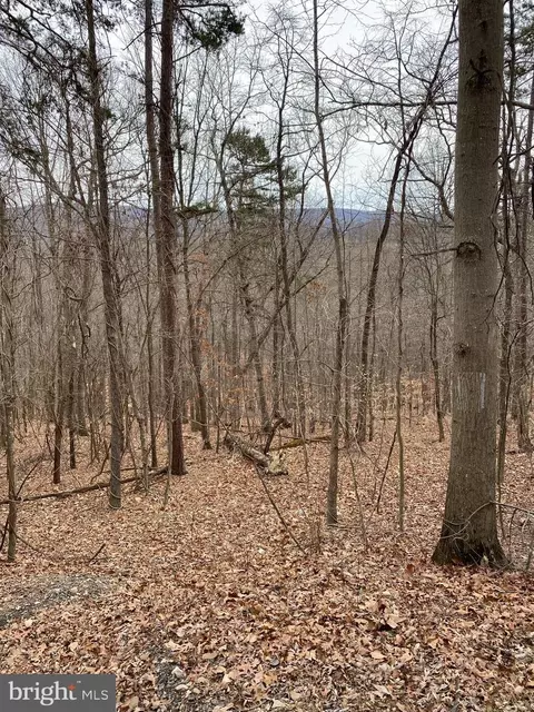 60 Old Oregon Rd, Royal, VA 22630