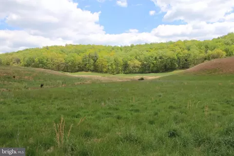 Gooney Manor Loop, Bentonville, VA 22610