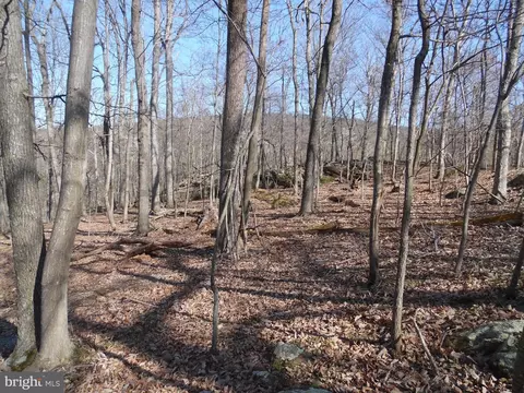 Lots 79 & 80 Gussin Way, Linden, VA 22642
