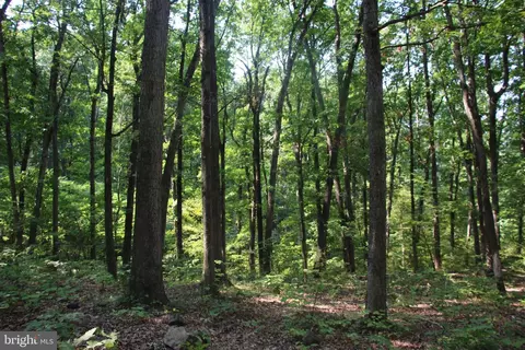 Noahs Road, Bentonville, VA 22610