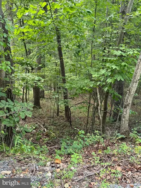 Spring Hollow Road, Front Royal, VA 22630