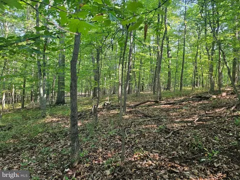 Brandy Road, Front Royal, VA 22630