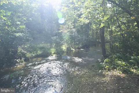 Dismal Hollow Road, Front Royal, VA 22630