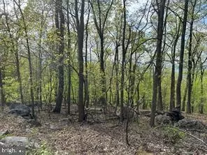 0 Wilderness Rd, Linden, VA 22642