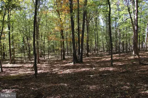 Sadlick Lot I Road, Strasburg, VA 22657