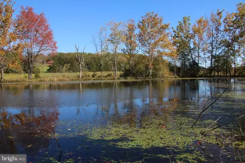 Sadlick Lot O Road, Strasburg, VA 22657