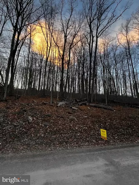 lot217 High Top Rd, Linden, VA 22642