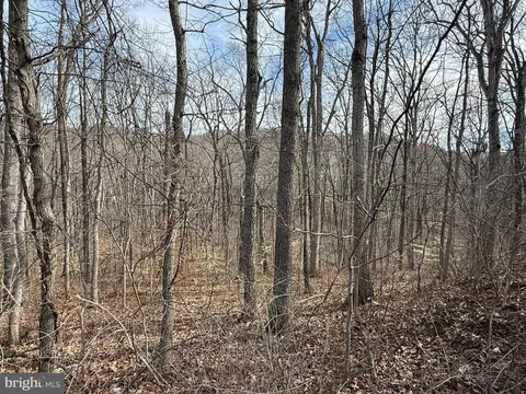 lot236238239240 Howellsville Rd, Royal, VA 22630