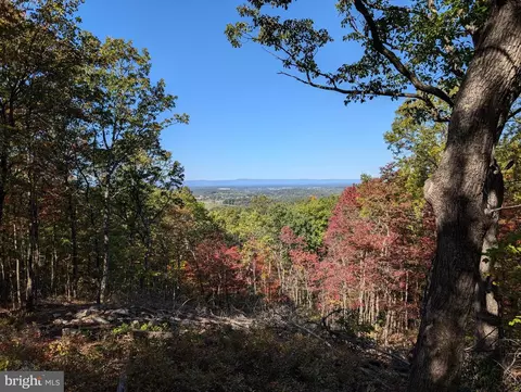 lot83 Baldwin Rd, Royal, VA 22630
