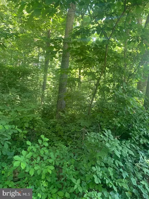Forest Road, Front Royal, VA 22630