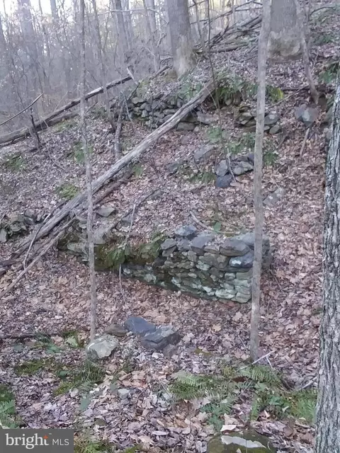 Drummer Hill Road, Front Royal, VA 22630