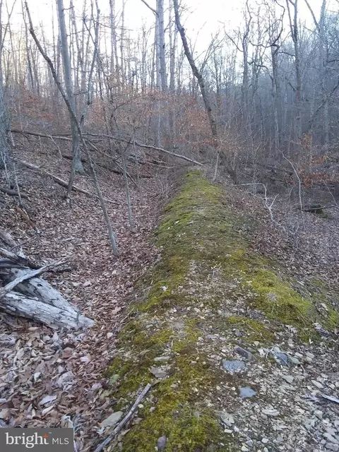 Drummer Hill Road, Front Royal, VA 22630