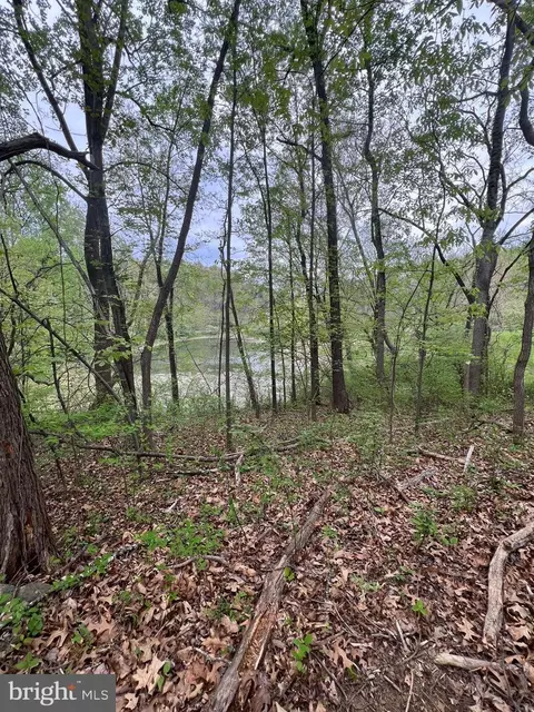 Memory, Linden, VA 22642