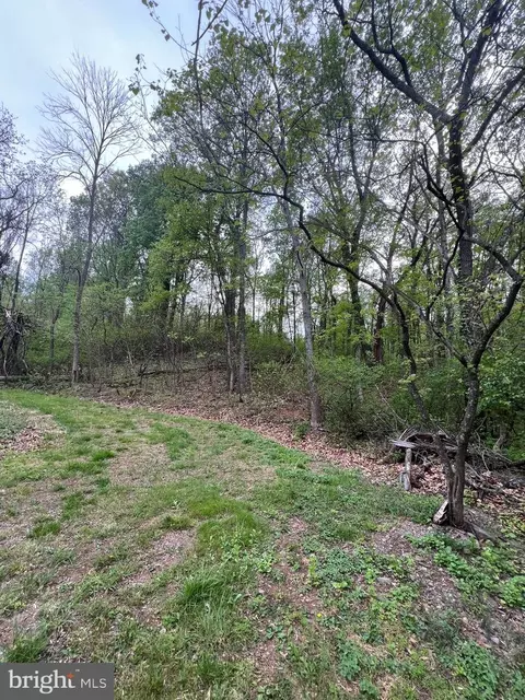 Memory, Linden, VA 22642 photo 3
