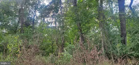 lot354 River View Shores Dr, Royal, VA 22630
