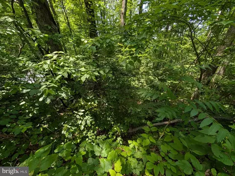 lot104 Summit Point Dr, Royal, VA 22630