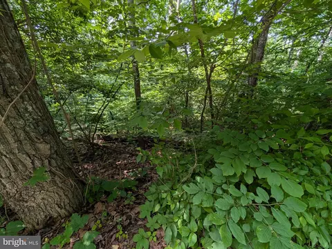 lot105 Summit Point Dr, Royal, VA 22630