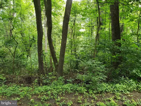 lot S 1-2 Blackbird Way, Royal, VA 22630