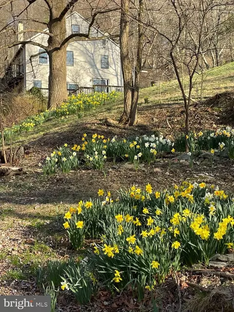 236 Piedmont Orchard Rd, Linden, VA 22642