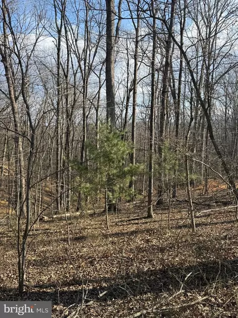 Arrowhead Road, Front Royal, VA 22630
