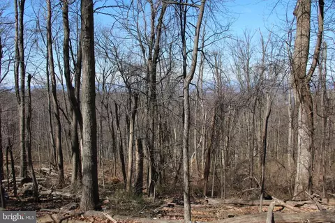 Windy Way, Front Royal, VA 22630