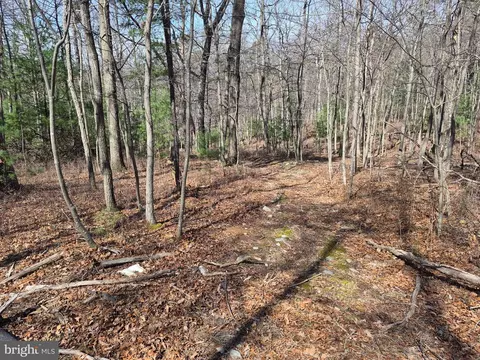 0 Dogwood Ln, Bentonville, VA 22610
