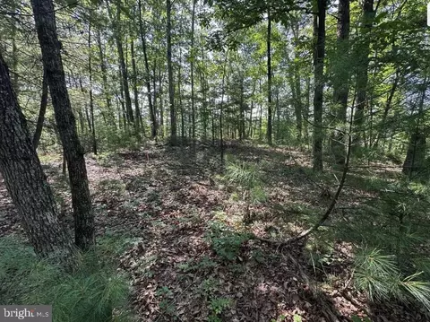 stokes airport road, Front Royal, VA 22630