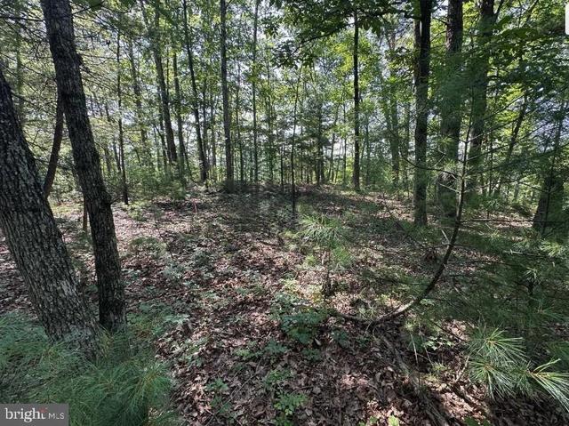 stokes airport road, Front Royal, VA 22630 | MLS# VAWR2013538 | 5 ...