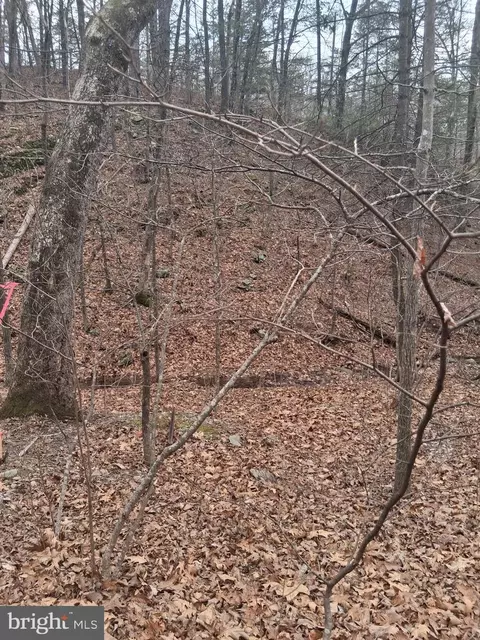 Vesey Drive, Front Royal, VA 22630