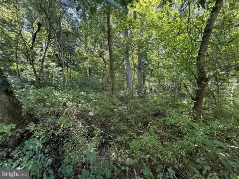 lot A6 Harris Dr, Royal, VA 22630
