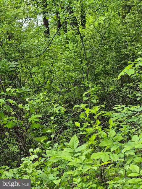 lot415 Briar, Royal, VA 22630