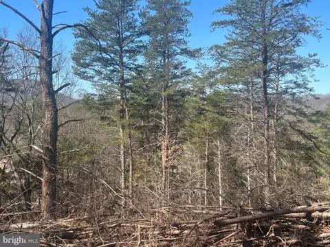 Andrews Road, Strasburg, VA 22657
