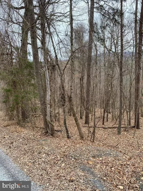 60 Old Oregon Rd, Royal, VA 22630