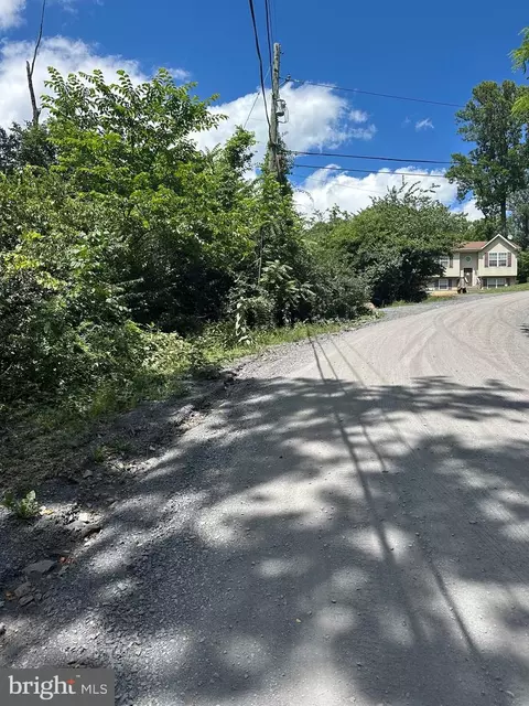 2 Lots 463 462 Reid Dr, Royal, VA 22630