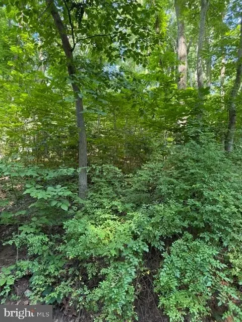 0 Easy Hollow Rd #LOT 413, Royal, VA 22630