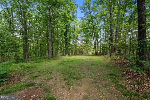 298 Mcdaniel Ln, Middletown, VA 22645 photo 46