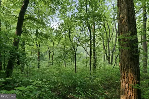 Gooney Manor Loop, Bentonville, VA 22610