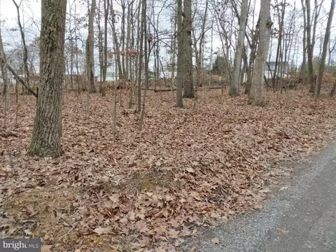 Homewood Ave, Falling Waters, WV 25419