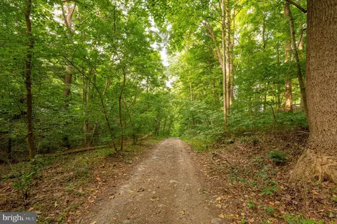 427 Falling Waters Dr, Falling Waters, WV 25419 photo 6