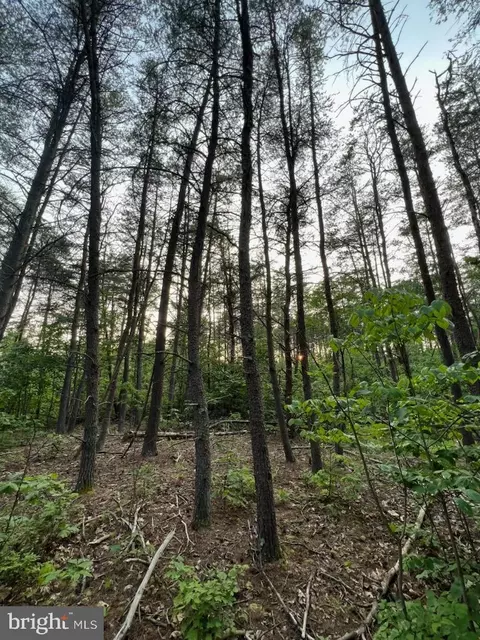 924 Mitchem, Hedgesville, WV 25427
